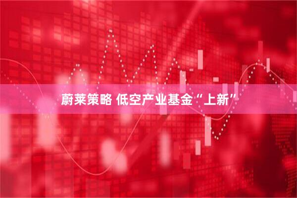 蔚莱策略 低空产业基金“上新”
