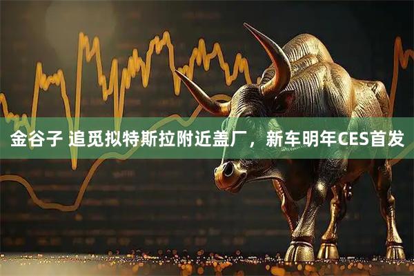 金谷子 追觅拟特斯拉附近盖厂，新车明年CES首发