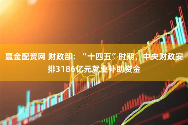 赢金配资网 财政部：“十四五”时期，中央财政安排3186亿元就业补助资金