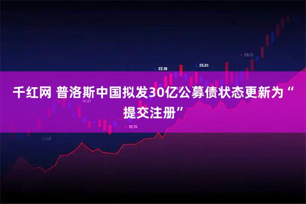 千红网 普洛斯中国拟发30亿公募债状态更新为“提交注册”