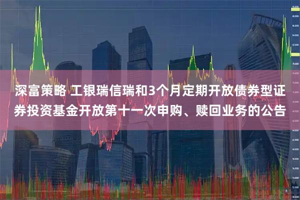 深富策略 工银瑞信瑞和3个月定期开放债券型证券投资基金开放第十一次申购、赎回业务的公告