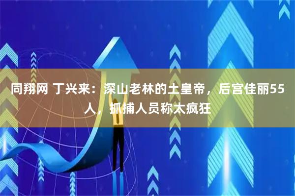 同翔网 丁兴来：深山老林的土皇帝，后宫佳丽55人，抓捕人员称太疯狂