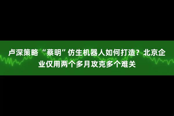 卢深策略 “蔡明”仿生机器人如何打造？北京企业仅用两个多月攻克多个难关